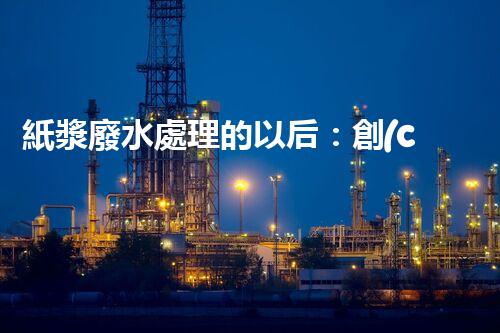 紙漿廢水處理的以后：創(chuàng)新技術(shù)與生態(tài)平衡？